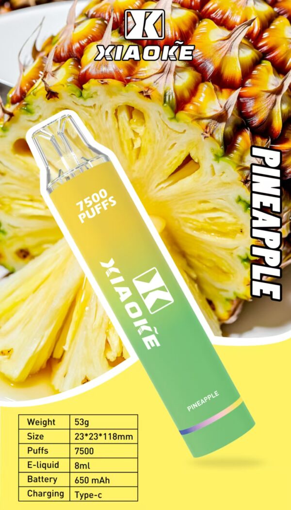 【XIAOKE 梟客】🪄拋棄式🍬 一次性霧化商品 7500口 (可充電)：圖片 5