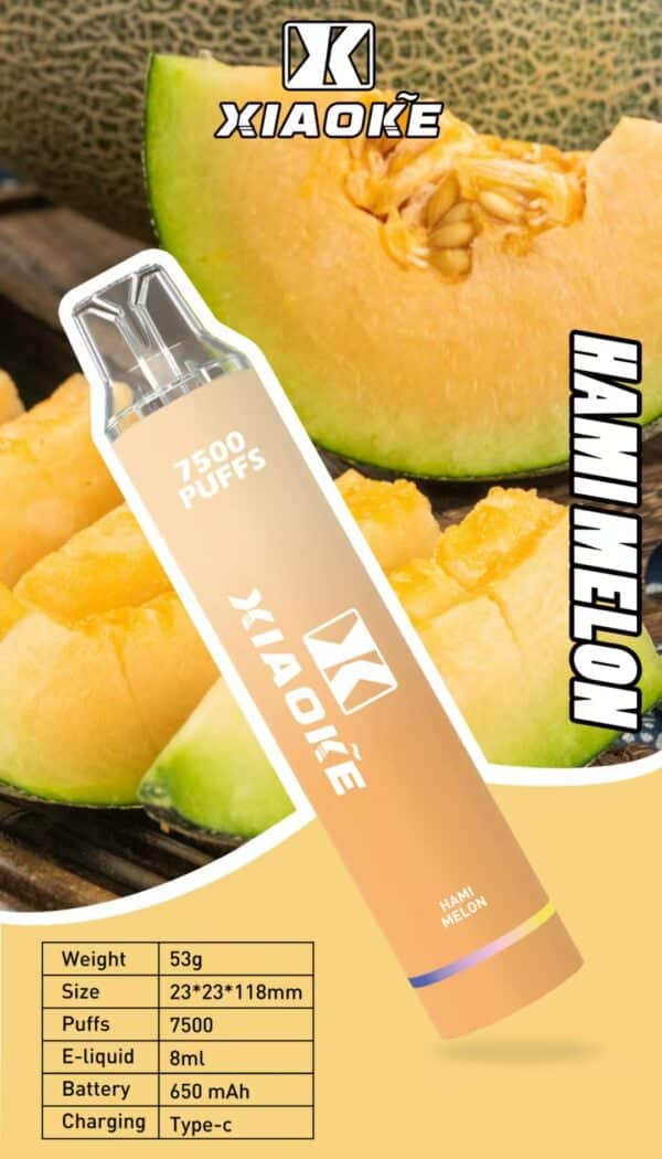 【XIAOKE 梟客】🪄拋棄式🍬 一次性霧化商品 7500口 (可充電)：圖片 6