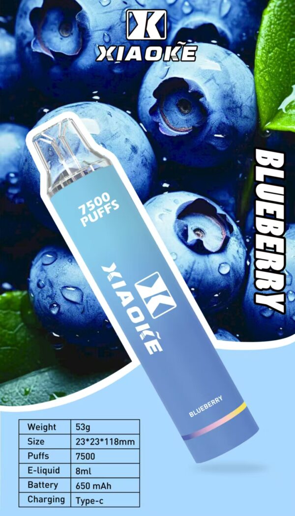 【XIAOKE 梟客】🪄拋棄式🍬 一次性霧化商品 7500口 (可充電)：圖片 7